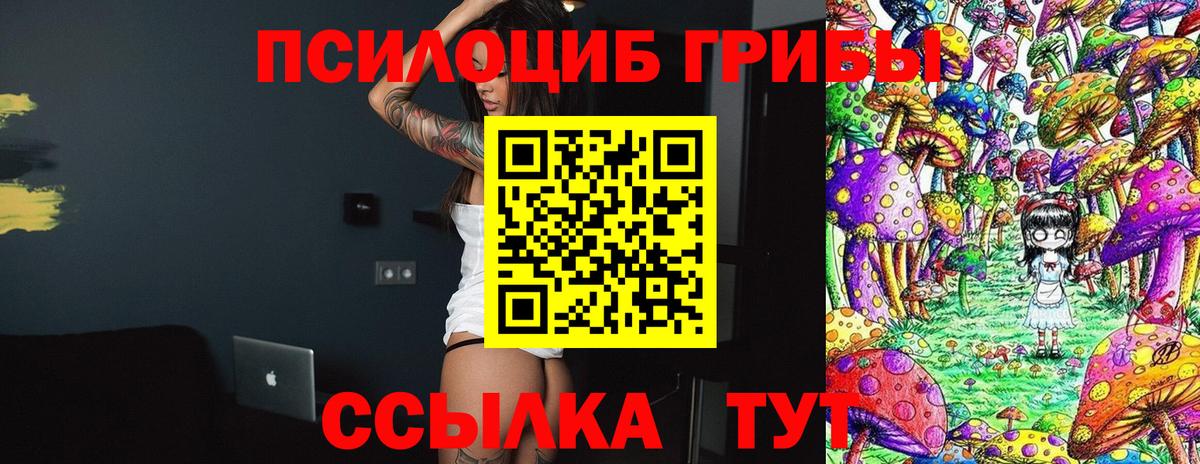 Бузулук  Псилоцибиновые грибы MAGIC MUSHROOMS  Галлюциногенные грибы Psilocybe  Вход с VPN 
